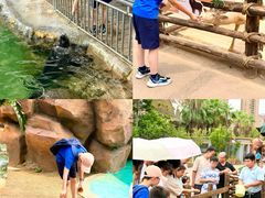 -福州罗源湾海洋世界旅游区