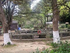-白马涧龙池景区