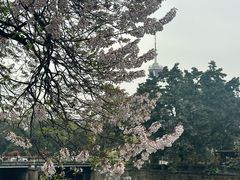 -成都市活水公园