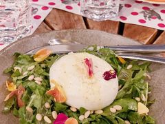 -TOMATITO(无限极荟店)