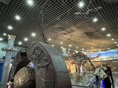 -国家自然博物馆