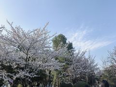 -堤角公园