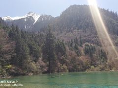 -荔香公园