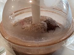 -麦当劳(深圳北站高铁店)