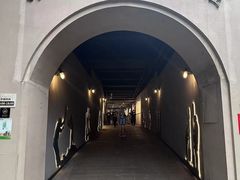 -重庆十八梯传统风貌区