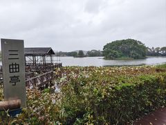 -上海市保健医疗中心