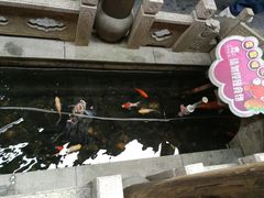 -唔呶喔哩酒家(生产街店)