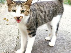 -原製原味(普陀山磐龙店)