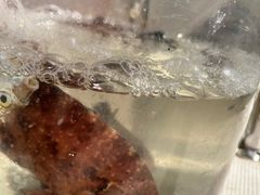 -小猫钓鱼海钓俱乐部(椰梦长廊店)