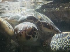 -福州罗源湾海洋世界旅游区