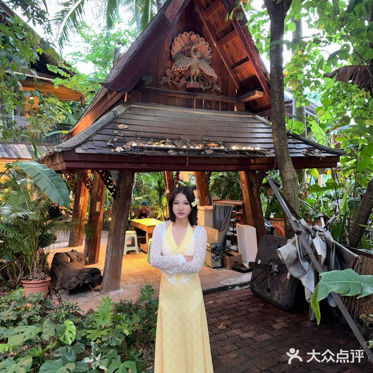 版纳纯野生菌火锅鲜到我想原地定居 谁懂啊