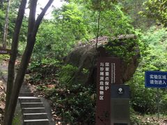 -中山市树木园