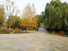 -百脉泉景区