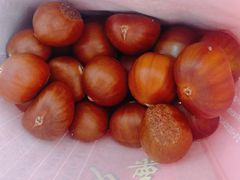 -阿男野栗王(金门路店)