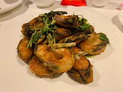 金不换煎焗白鳝-博多新记·粤菜(复兴店)