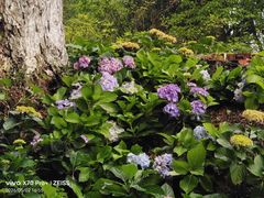 -常德桃花源景区