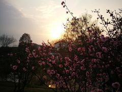 -石塘人家