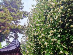 -郑和公园