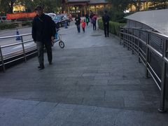 -中国中医科学院望京医院(院本部)