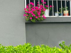 -锁江楼