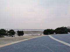 -宝安西湾红树林湿地公园