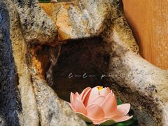 -莲泰式·中式·沐足·精油SPA采耳(天河店)