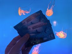 -太平洋海底世界