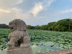 -苏州上方山国家森林公园