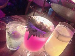 -TZ House音乐现场(茅台店)