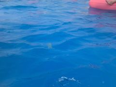 -上海玛雅海滩水公园