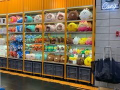 -line friends(明洞旗舰店)