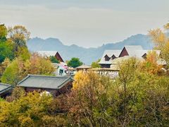 -少华山国家森林公园