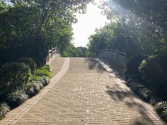 -同里国家湿地公园