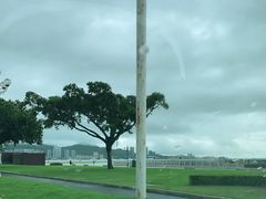 -野狸岛