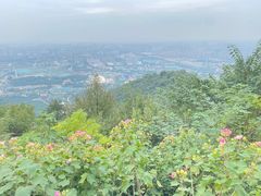 -杭州半山国家森林公园