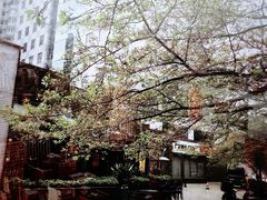 玛格萝妮比萨屋(物华店)-玛格萝妮比萨屋(四平店)