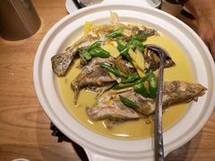 青椒闷桂鱼仔-火候轩品质湘菜·私厨(市府店)