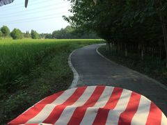 -桤木河湿地公园