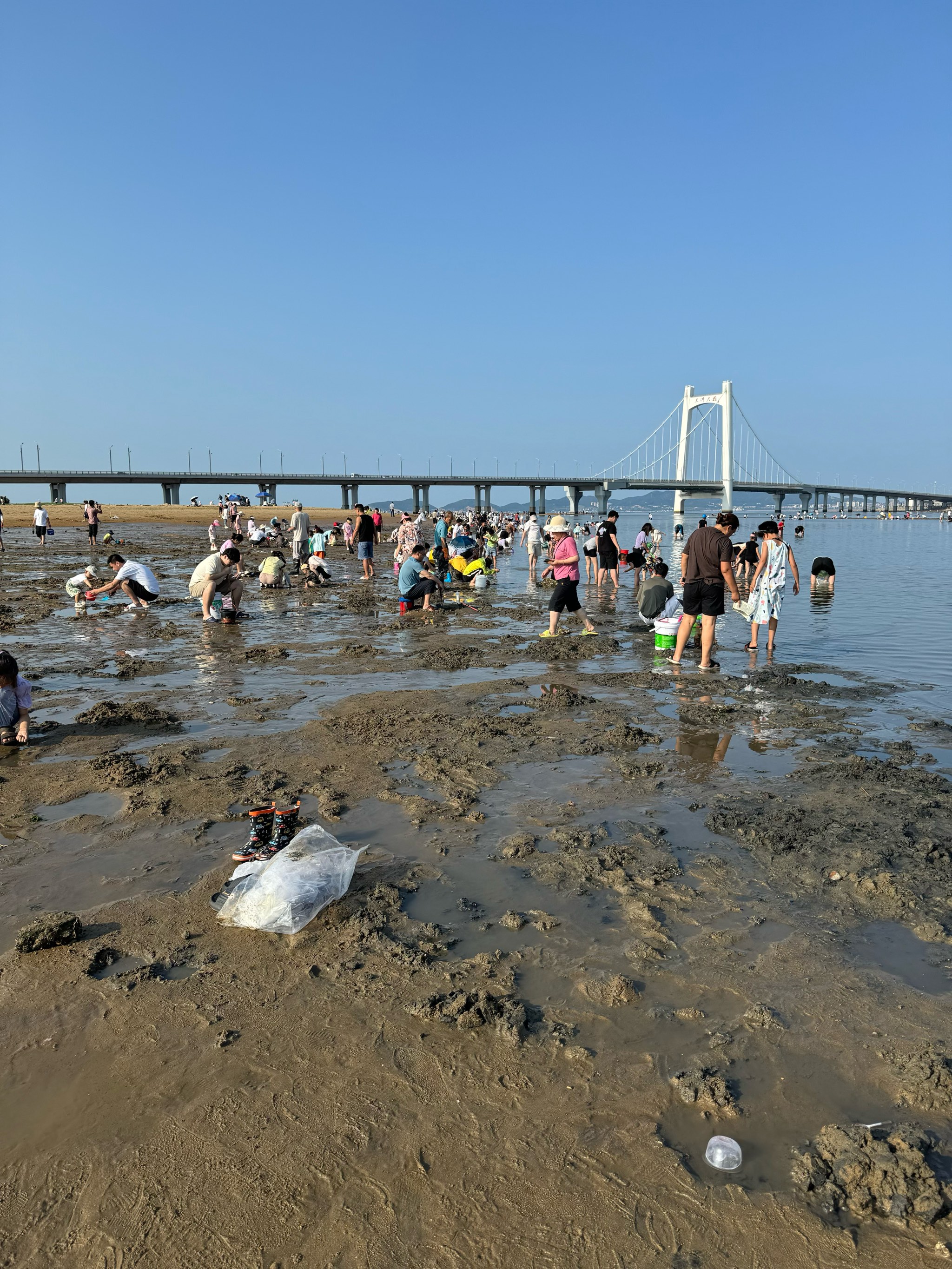 浪花里的欢乐童年 赶海