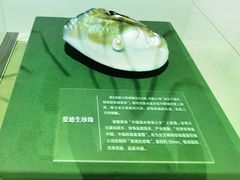 -诸暨博物馆