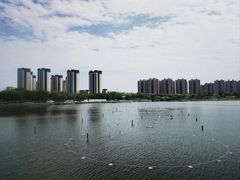 -映月湖中央公园
