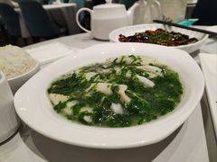 -沈大成(南京东路店)