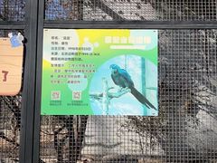 景点-北京动物园