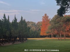 -上海滨江森林公园