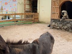 -HERRE·FARM 赫尔露营农场·团建聚会包场