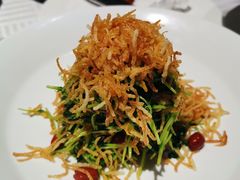 巧拌豆苗-四季民福烤鸭店(王府井灯市口店)