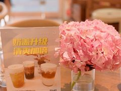 -WHEN PIGS FLY当猪飞