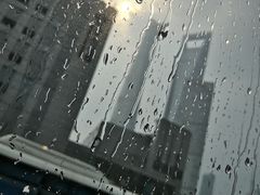 -黄浦江游览快线(金陵东路码头)