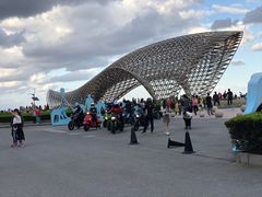 -南汇嘴观海公园