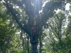 -WeLope紫金山探险公园